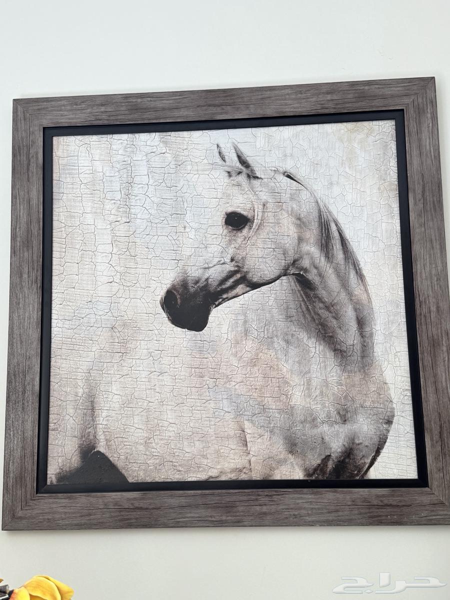 لوحات لوحه ديكور64538541953282111