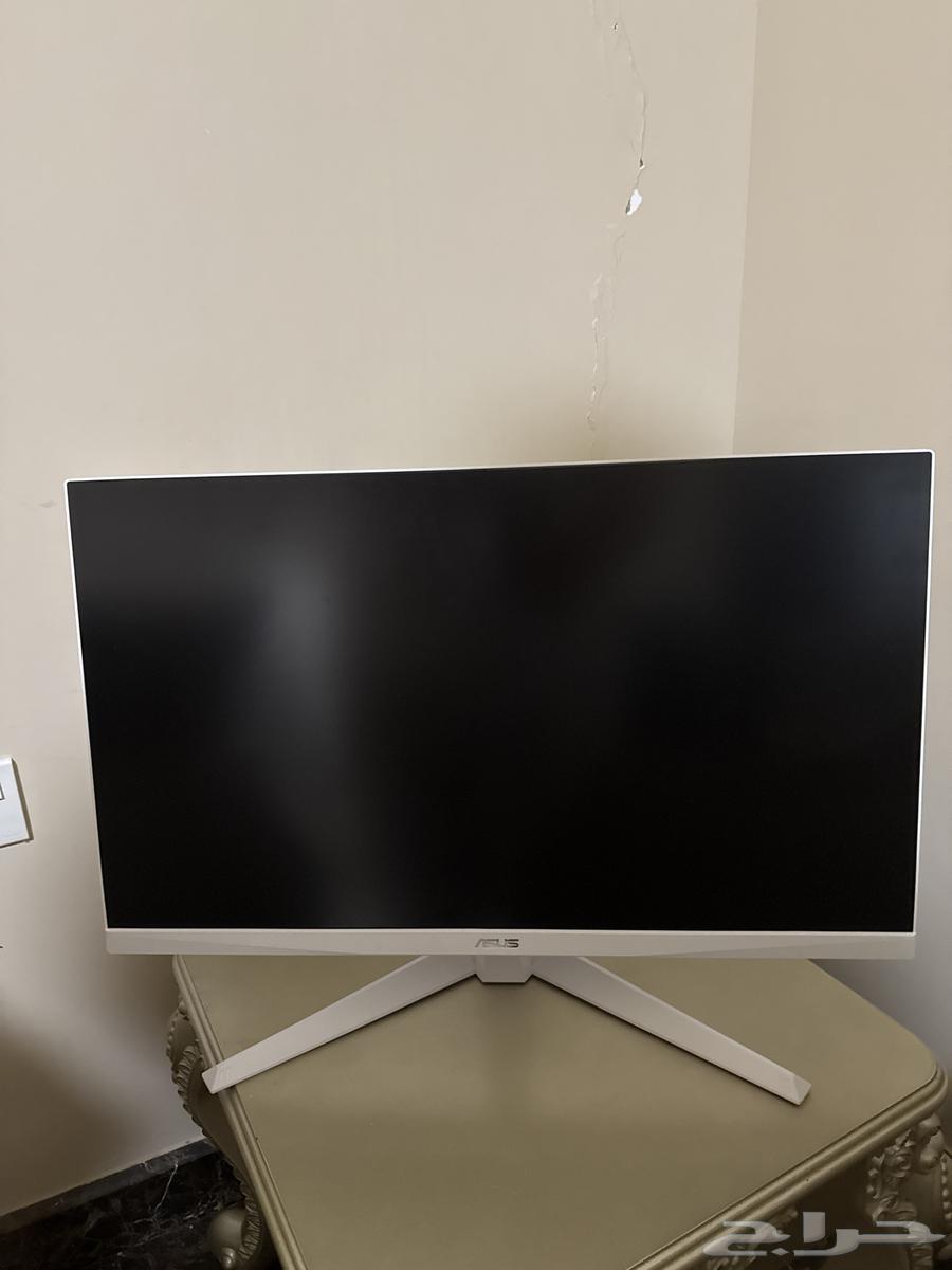 Shayshat Qayemq64537728686081110