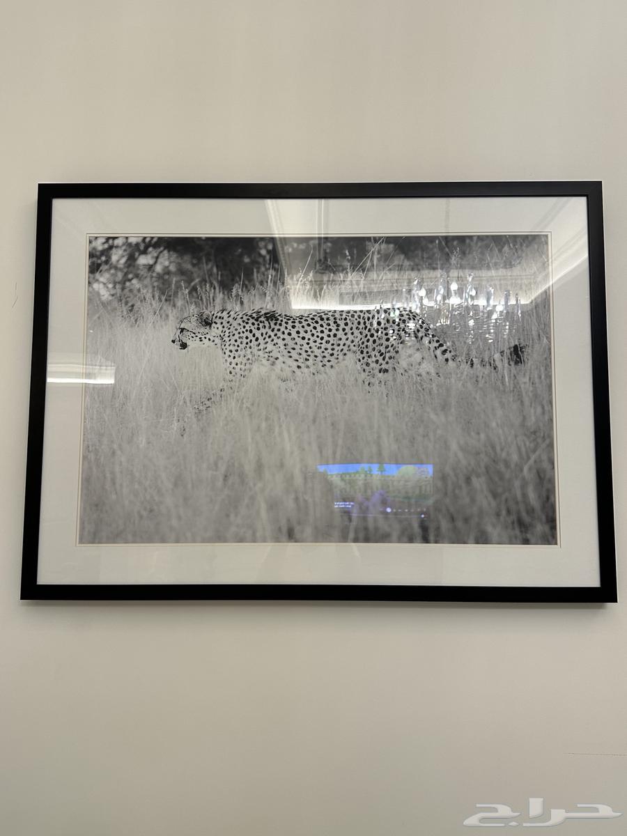 A board for sale, free of defects64540879513475110