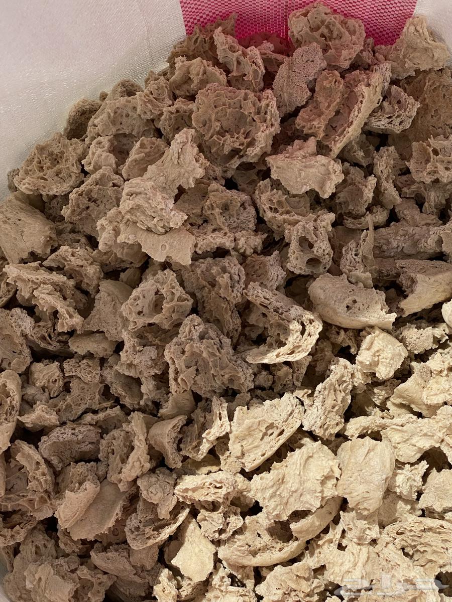 عجين للبيع64540935924482111