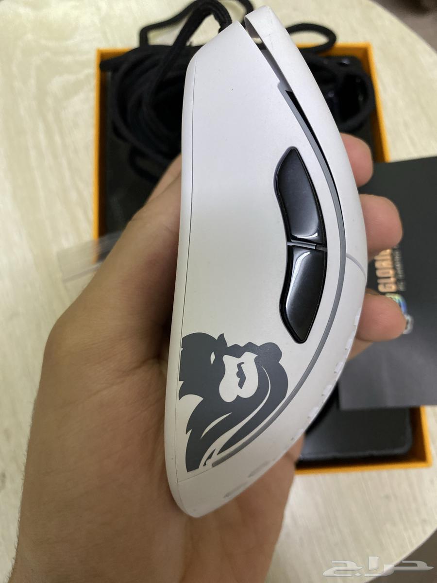 Gloris White Model D Mouse64541221961729112