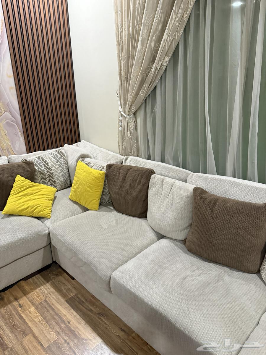 كنب رصاص أمريكي64542303117955113