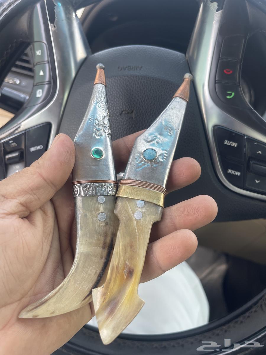 Old Shabari number 464537644904579112