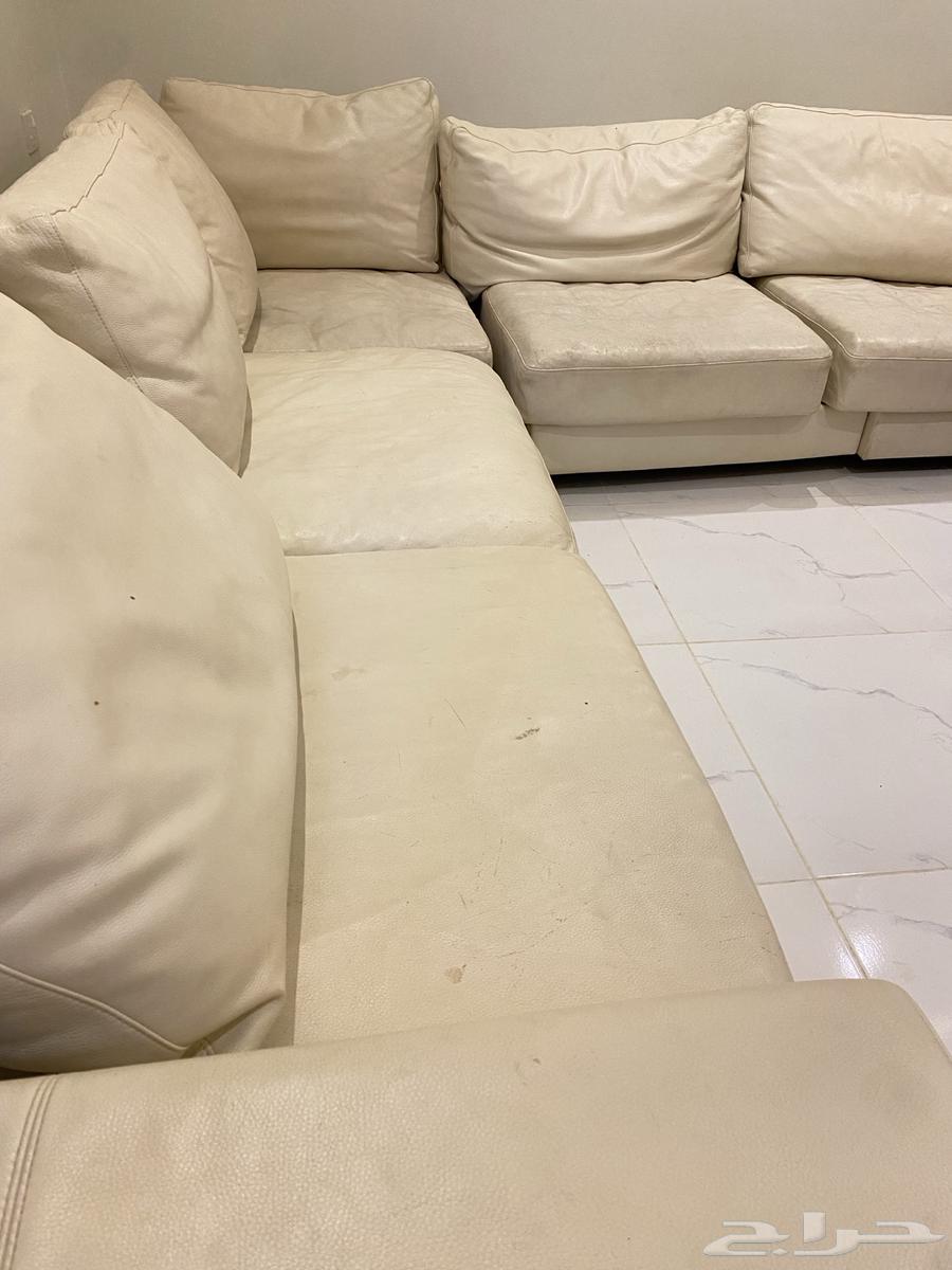 كنب جلد ناتوزي64538274899459113