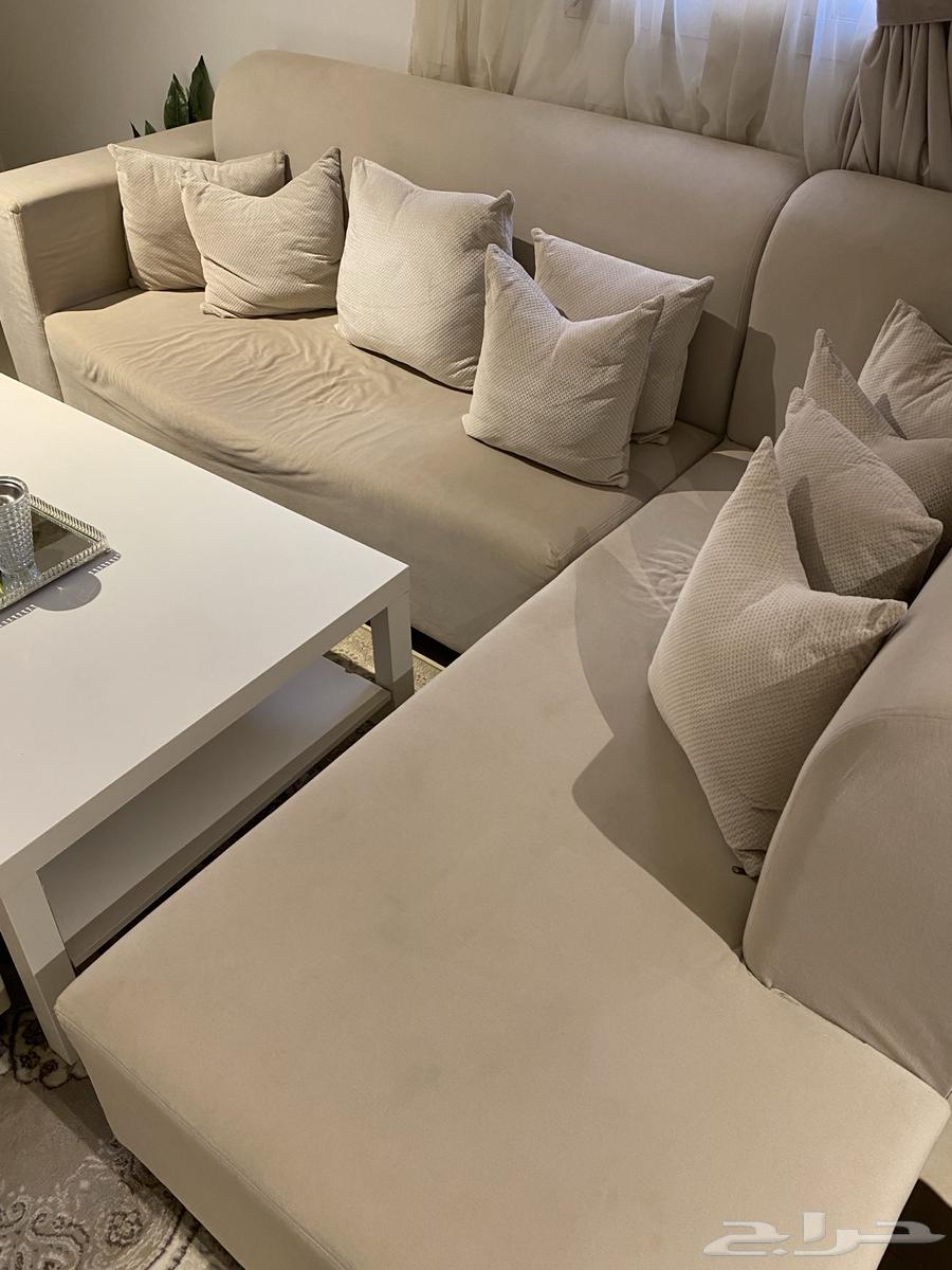 كنب حرف L سليم ونظيف للبيع64537086749825111