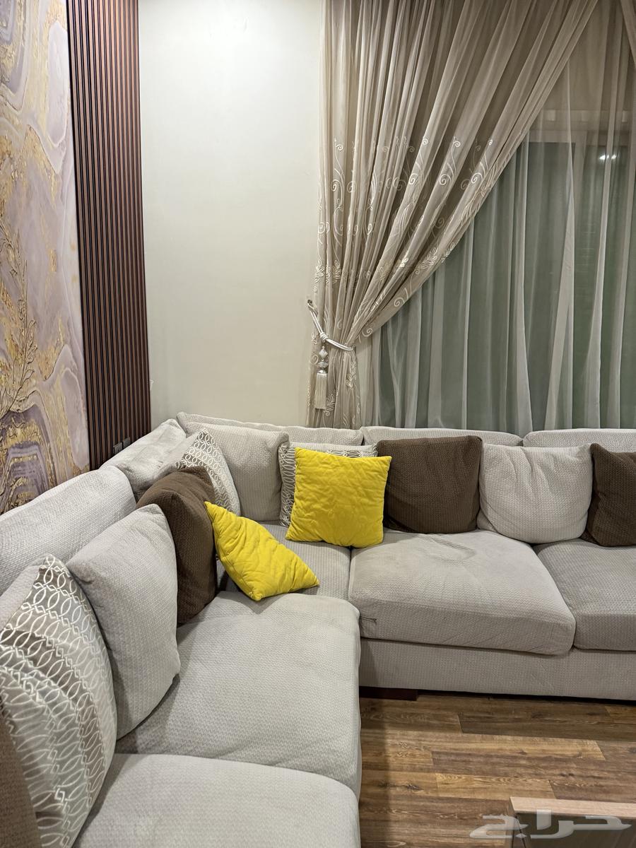 كنب رصاص أمريكي64542303117955114