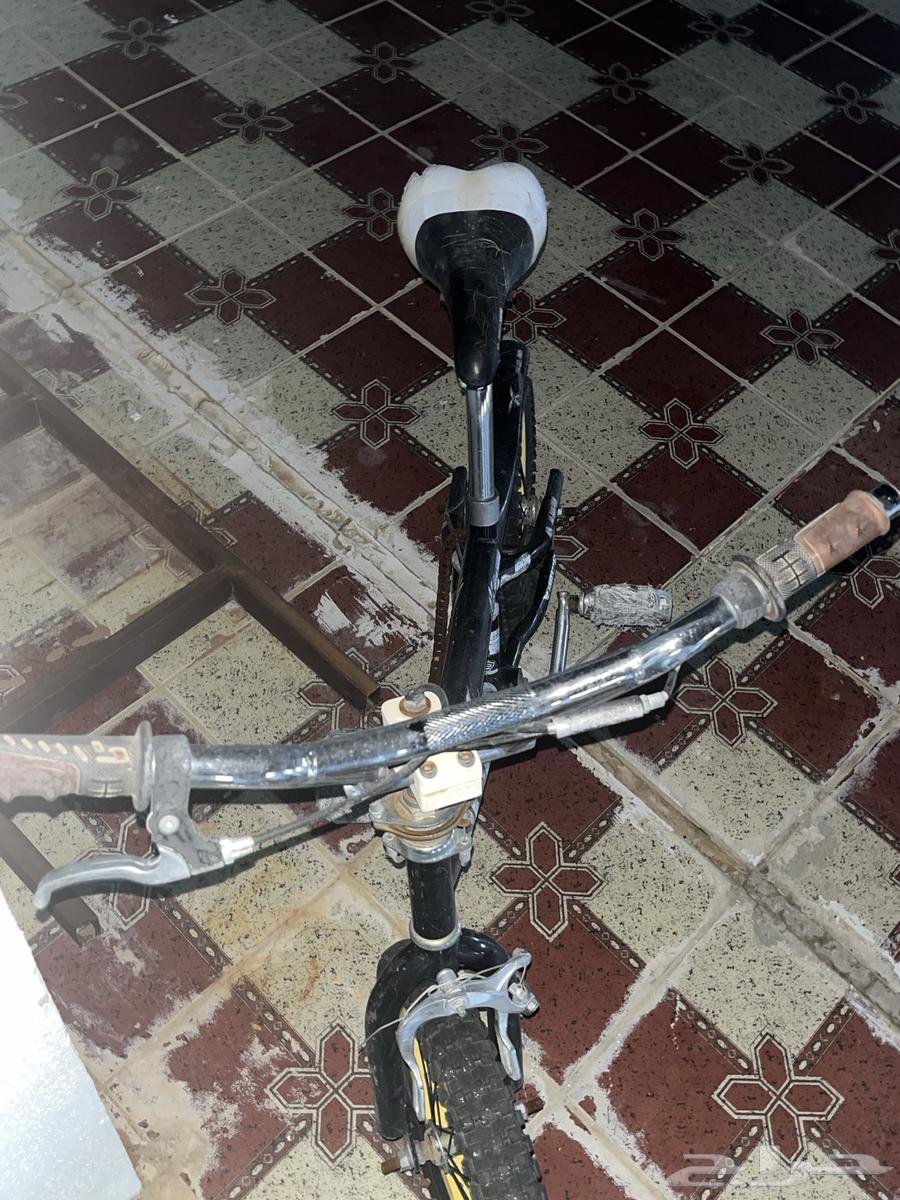 سيكل نظيف64541037009026111