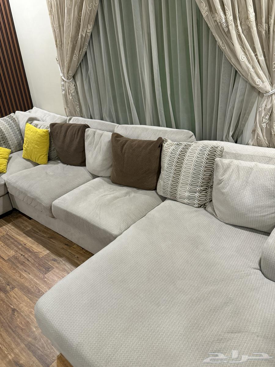 كنب رصاص أمريكي64542303117955111