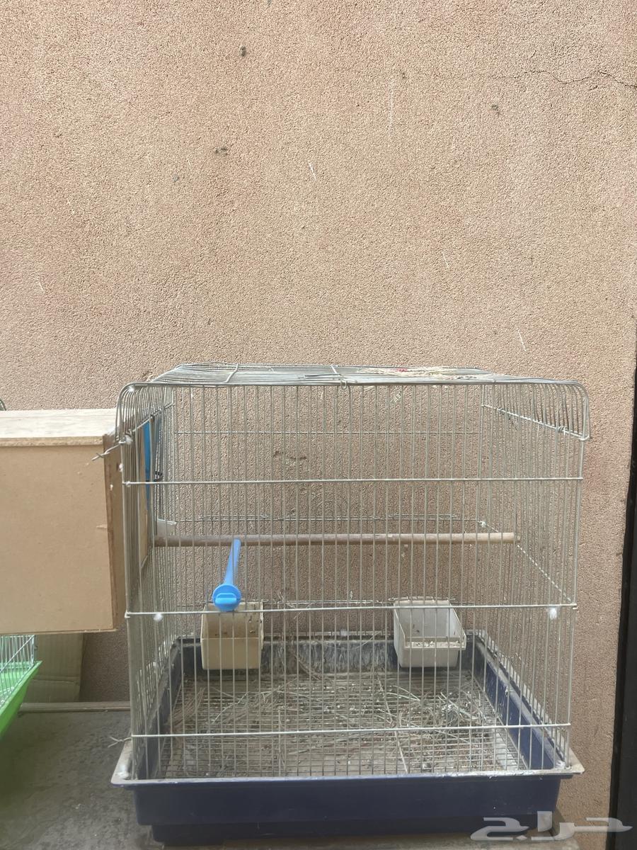 قفص شبه جديد جاهز من كل شي64541522924419110