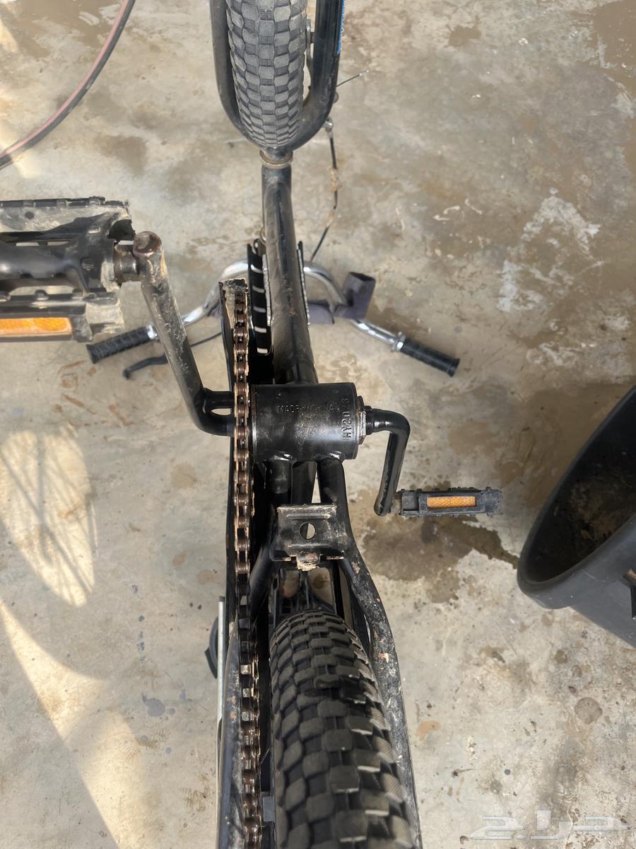 دارجه سليمة بس يبغالها رمان بلي بعشرة ريال فقط السوم 13064539443489923110