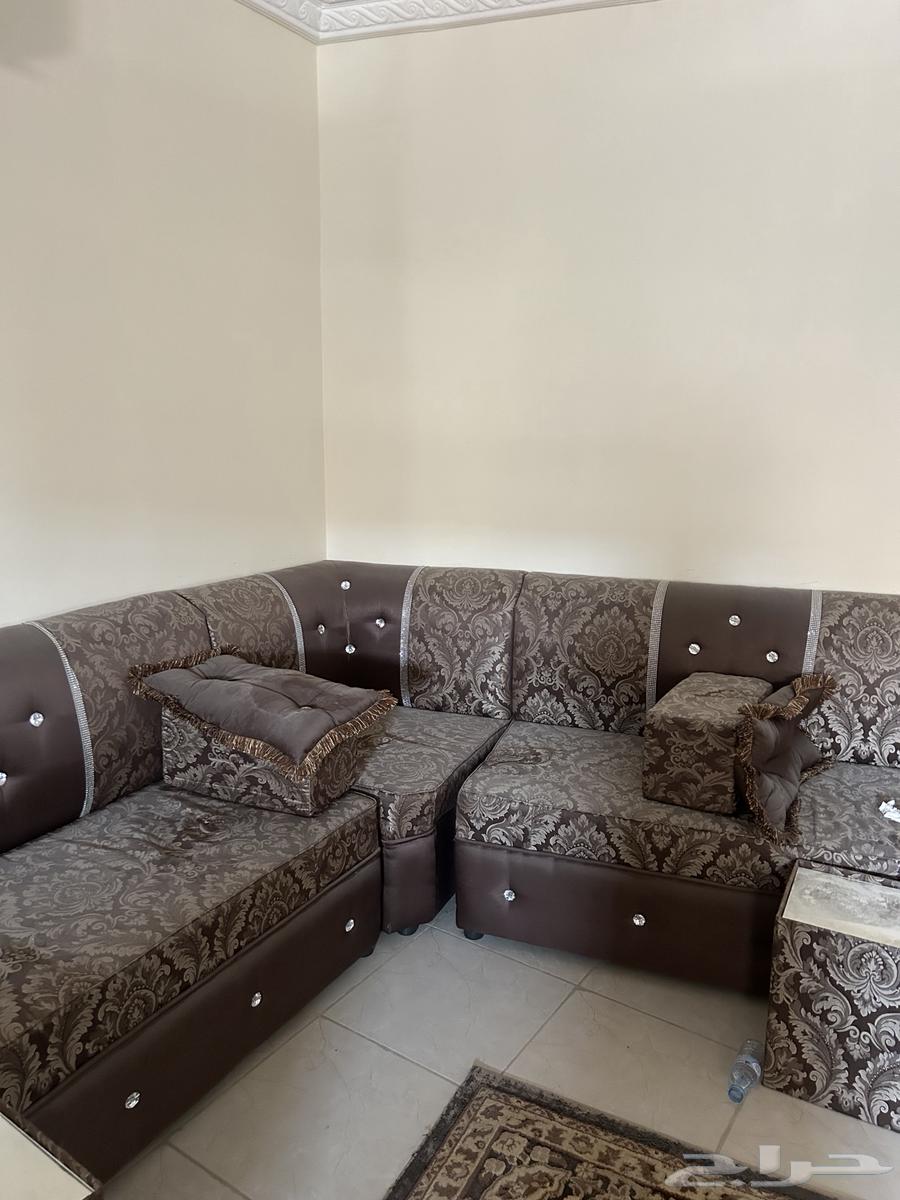 كنب نظيف مستخدم64539953303939113