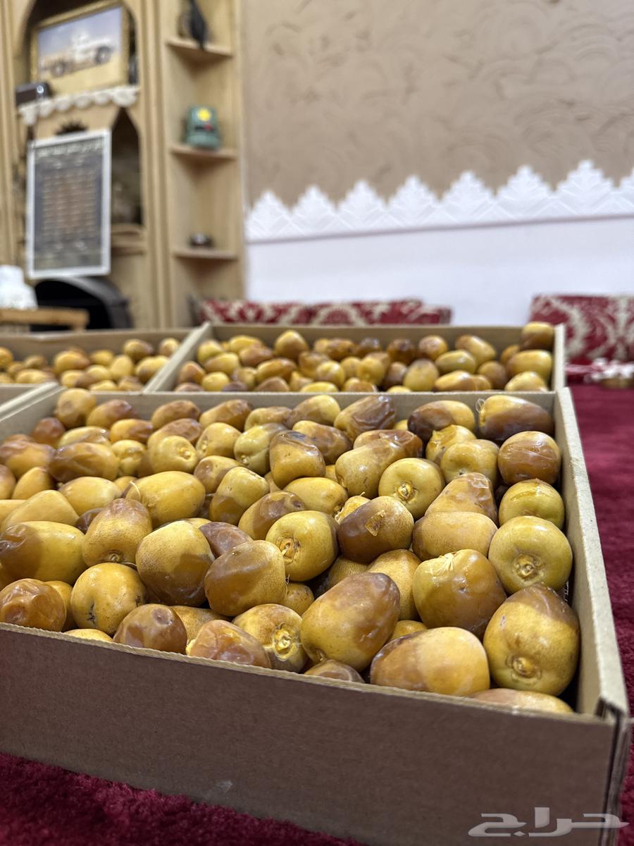 For sale Sukkari dates64537156215299110