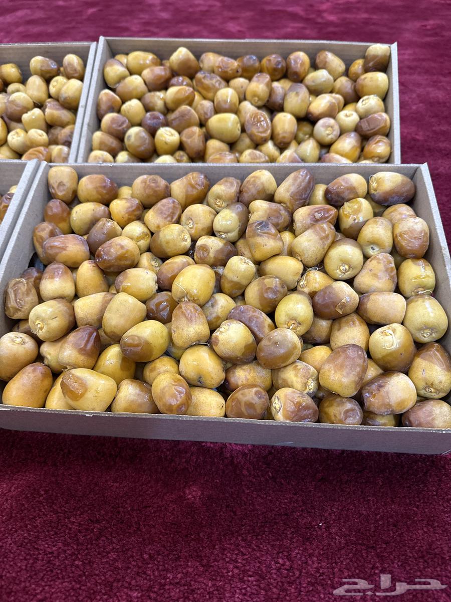 For sale Sukkari dates64537156215299112