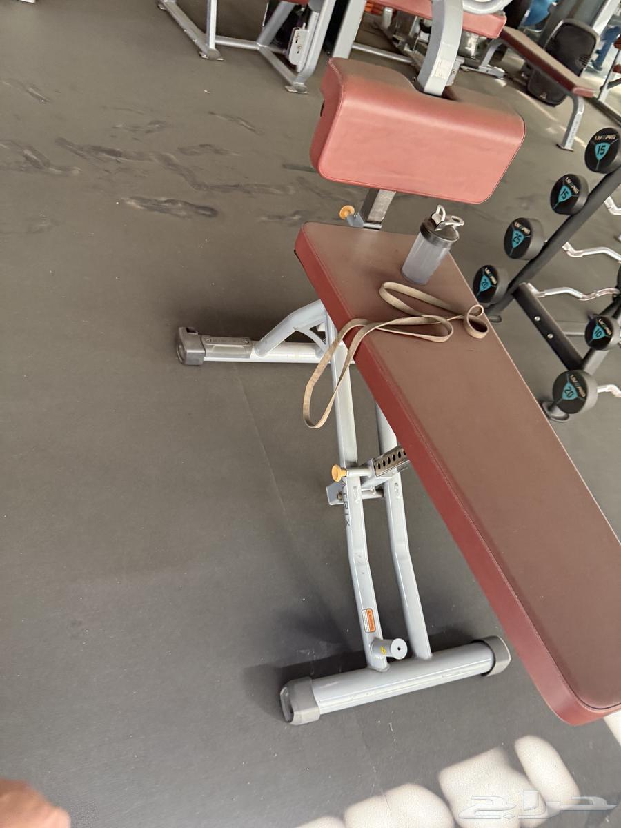 اجهزة رياضية نادي رياضي تجاري لايف فتنس64538817860355113