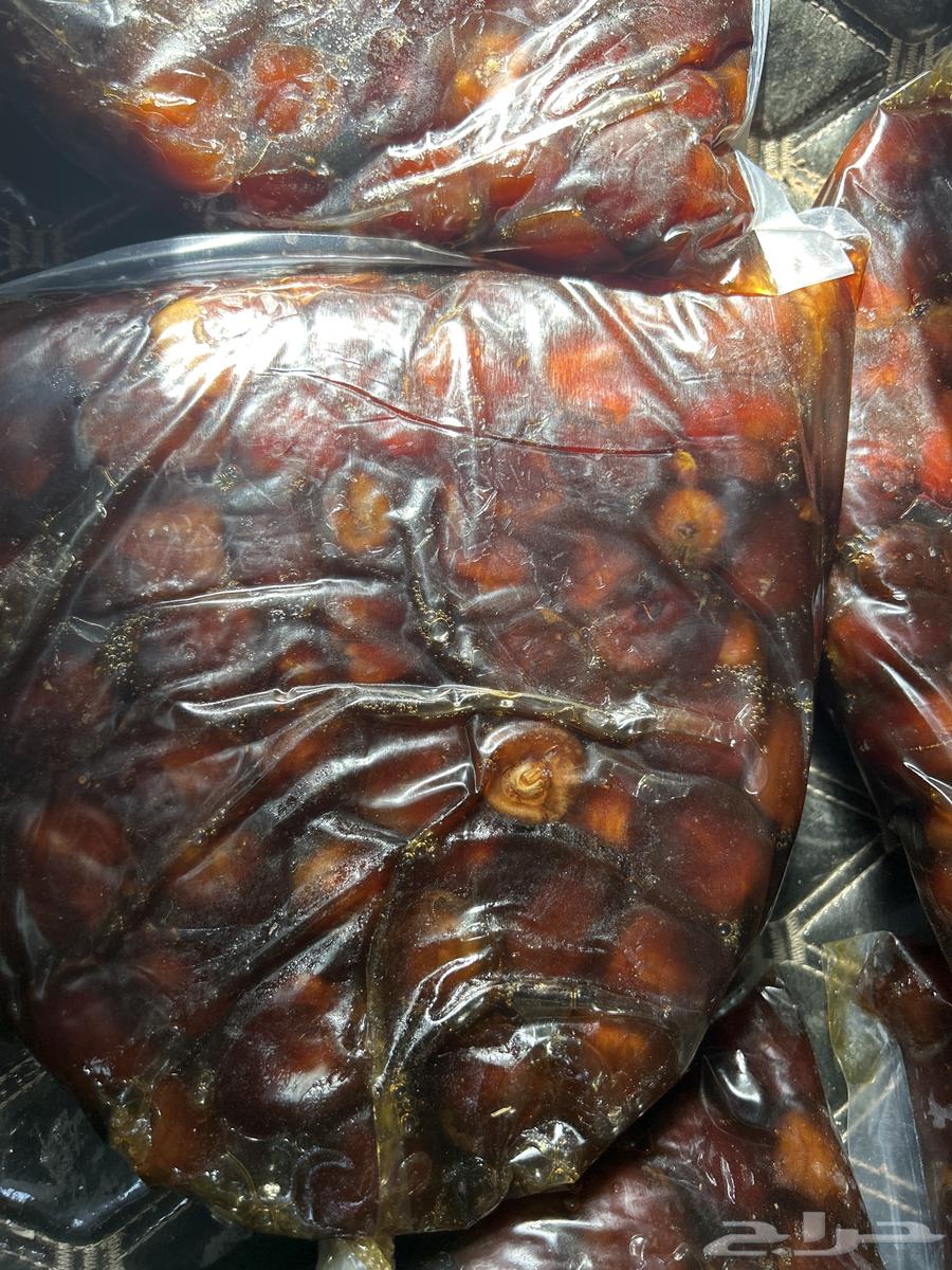 Tamr Salma64538401084163110