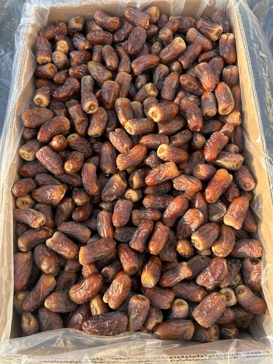 Barni Dates for Sale64540638044547111