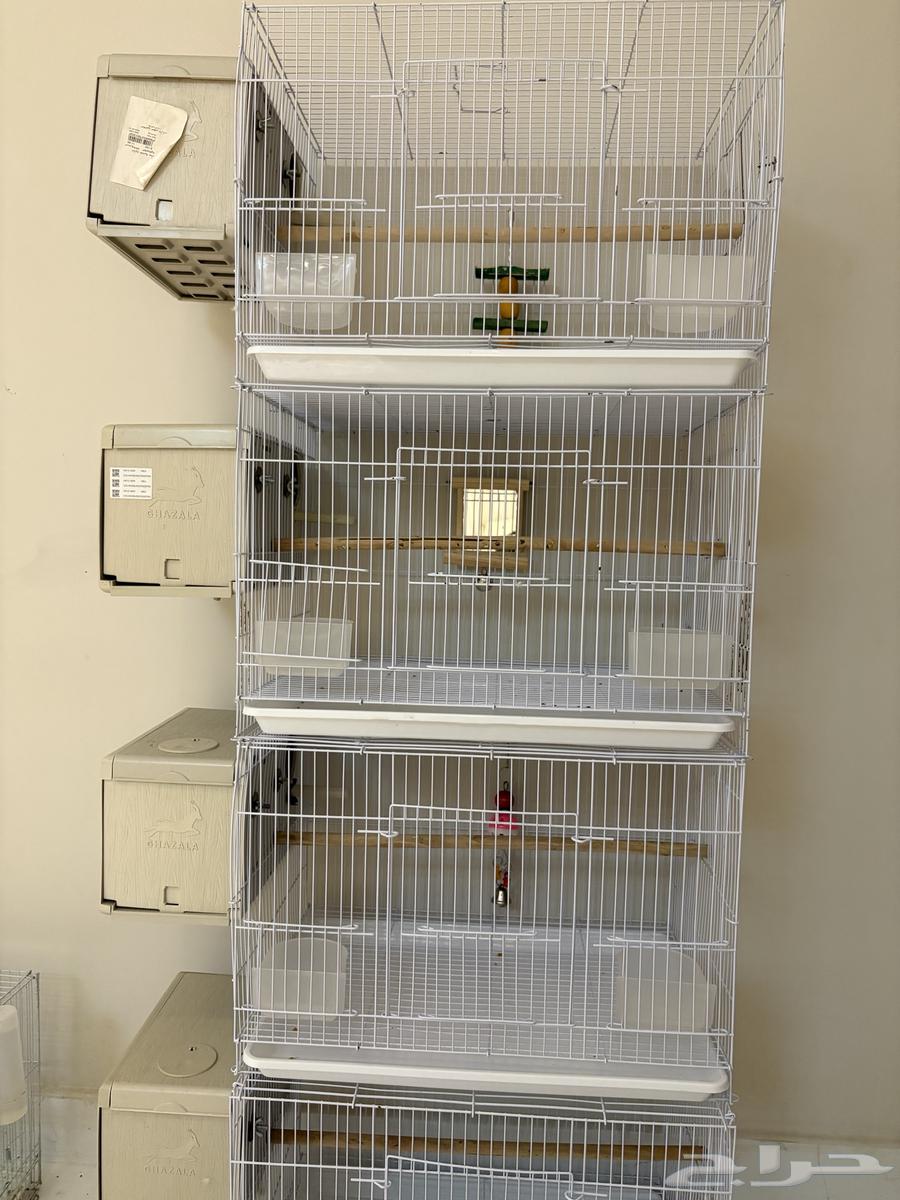 أقفاص مقاس 600 جديده مع بياضات غزاله المصريه64535541281281110