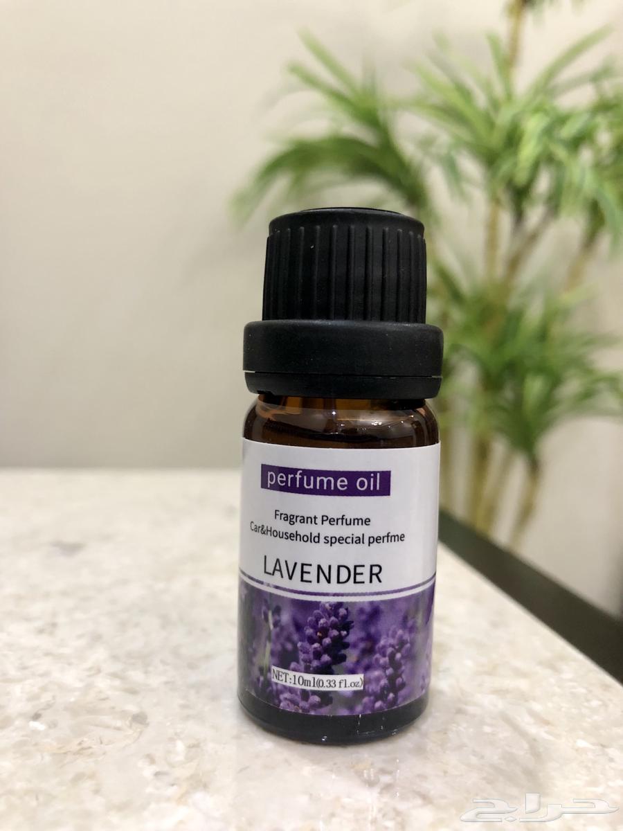 توزيعات لليوم الوطني السعودي 95 عزنا بطبعنا64535027489795112