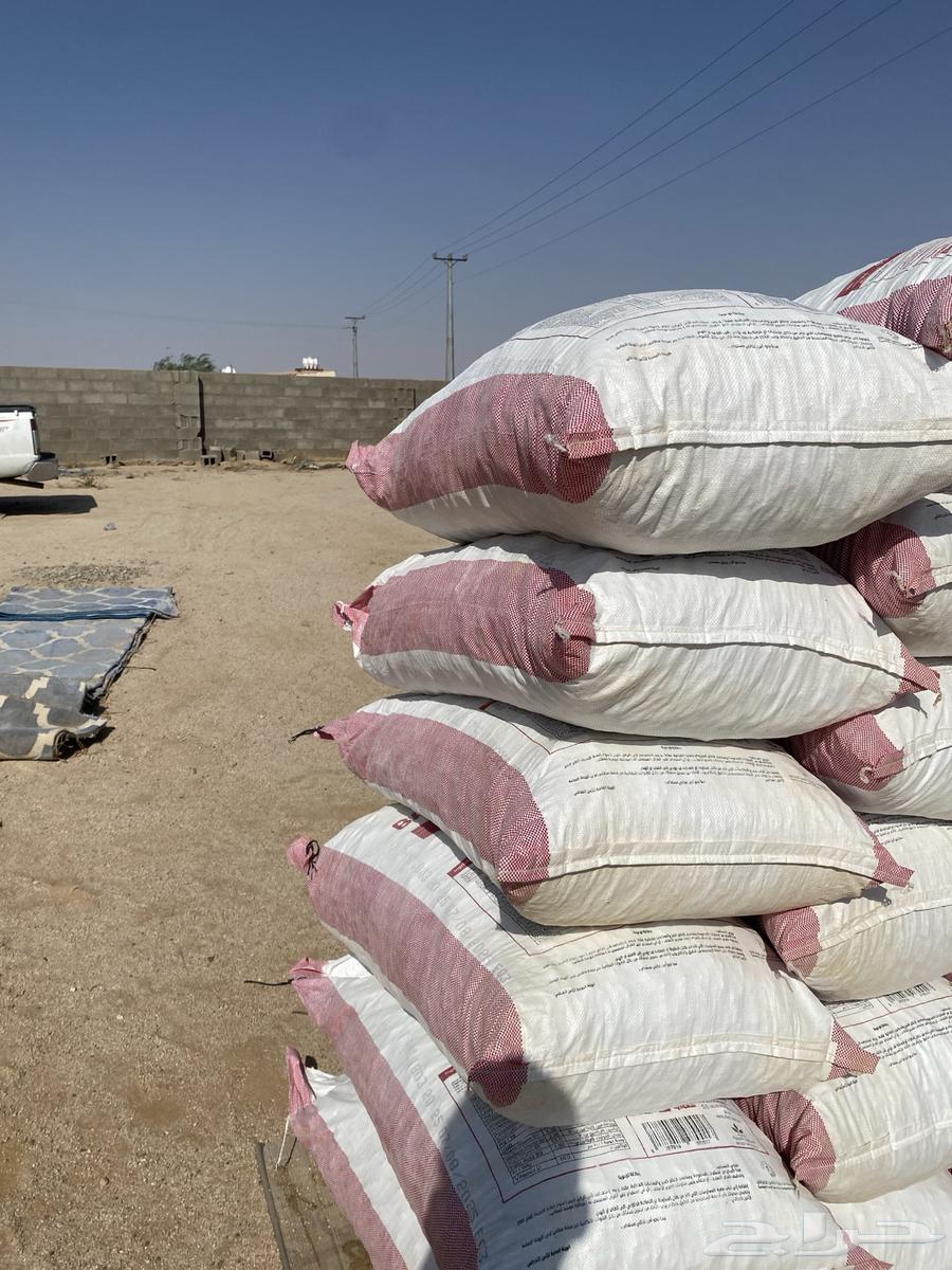 عجين للبيع64540935924482110