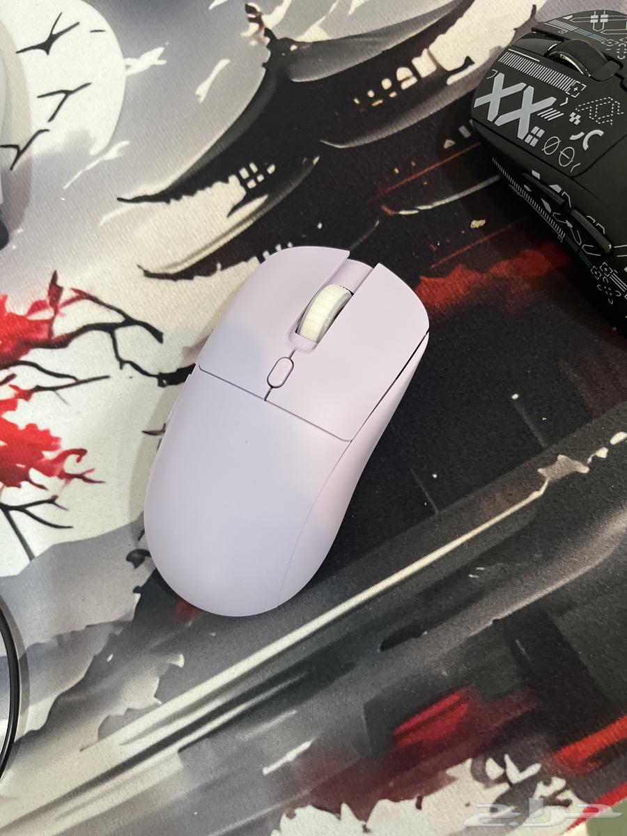 Keyboard and mouse, mouse64537169981441111