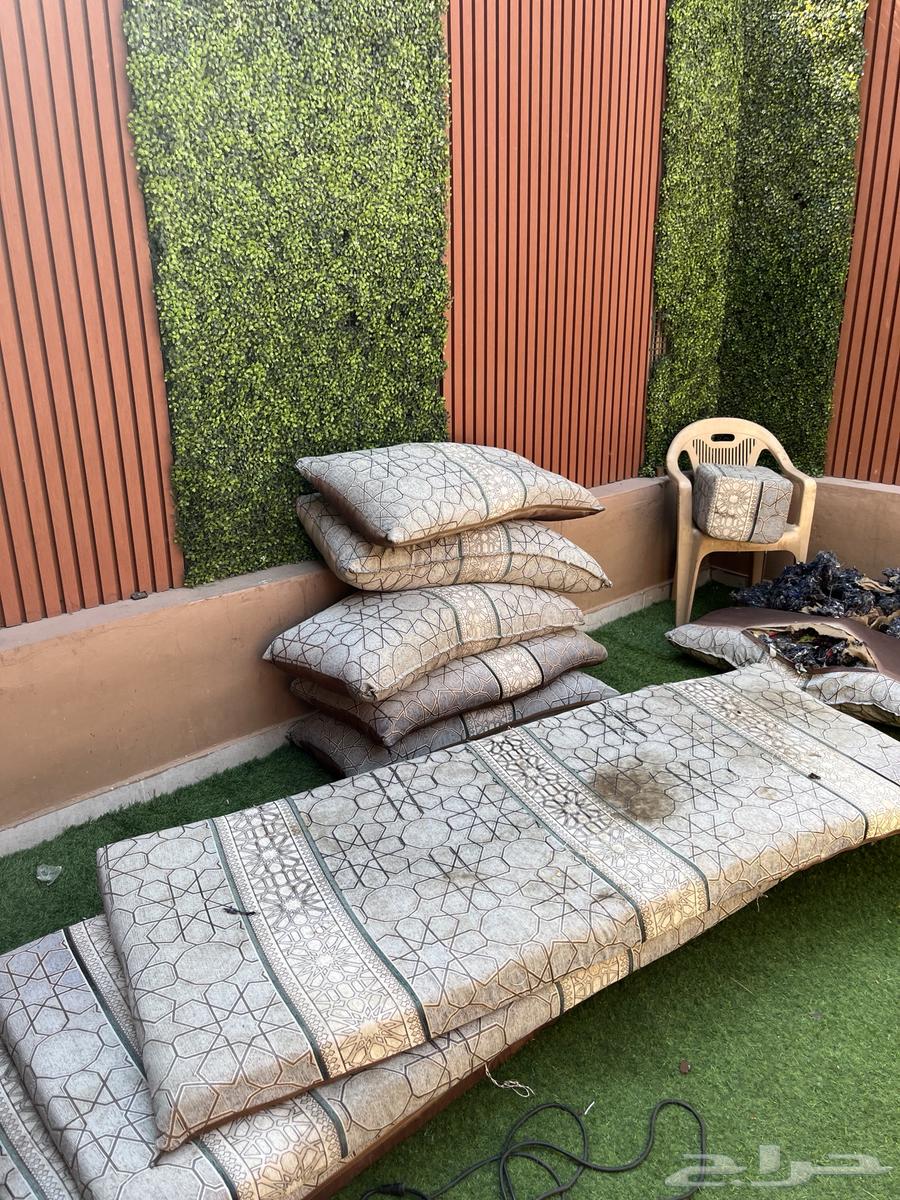 Floor seating sofa64538659616257113