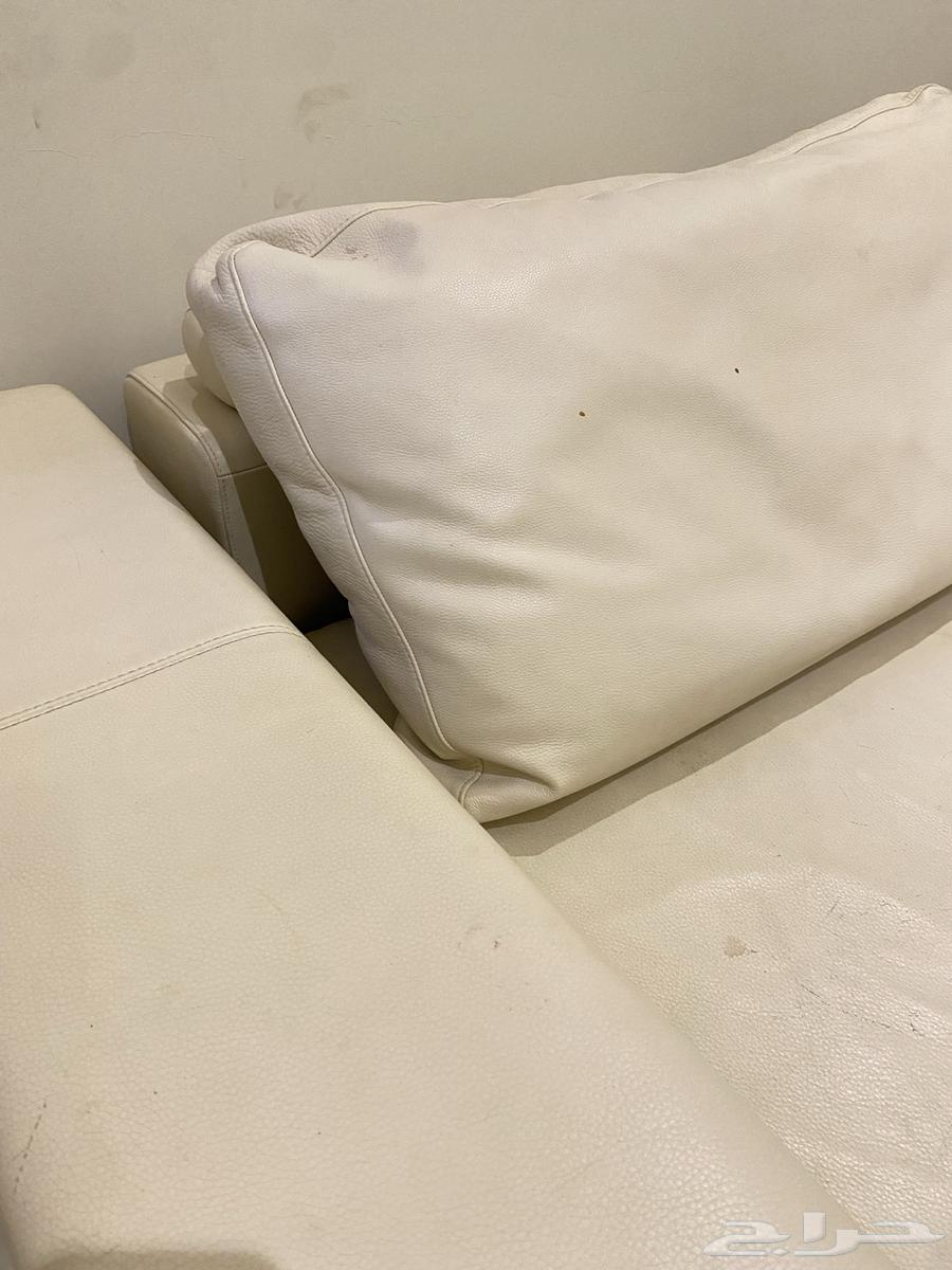 كنب جلد ناتوزي64538274899459111