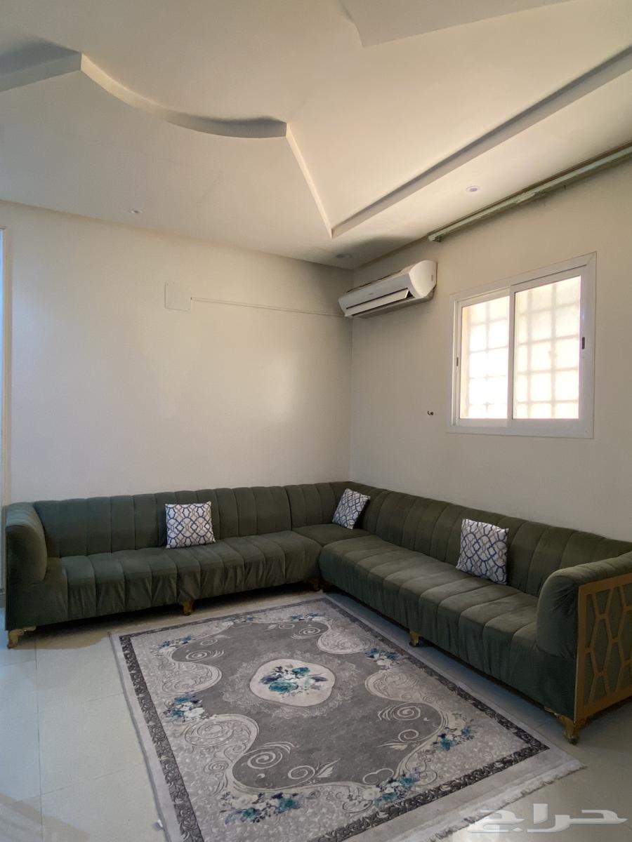 كنب مستخدم جديد لمدة سنة ب 1200 و قابل للتفويض64538120645251110