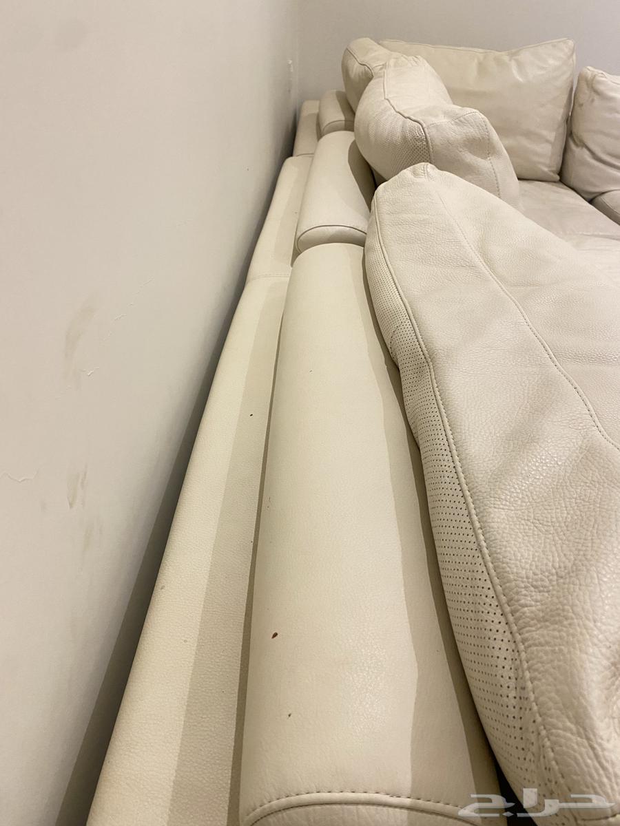 كنب جلد ناتوزي64538274899459112