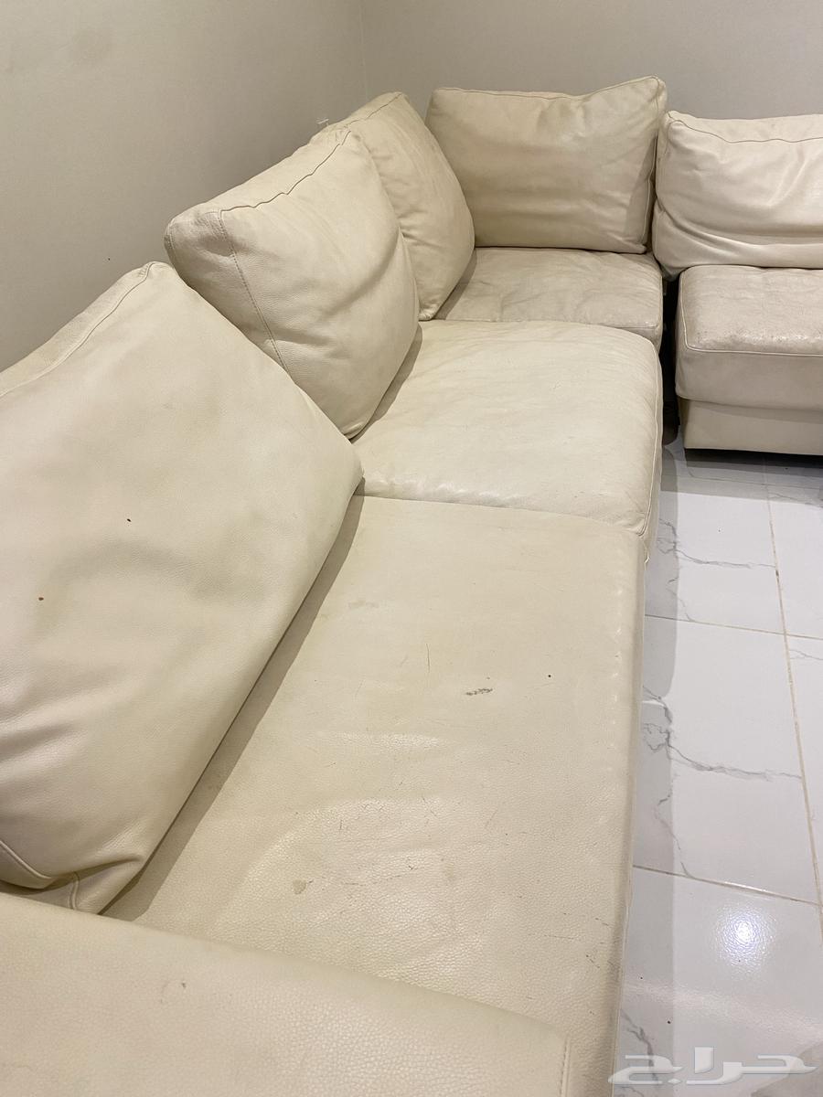 كنب جلد ناتوزي64538274899459110