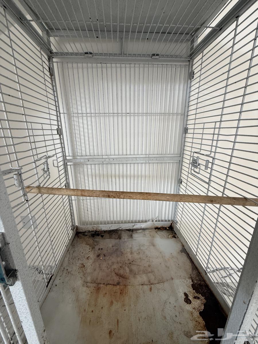 قفص كبير الحاله لابأس بها64539514514818110