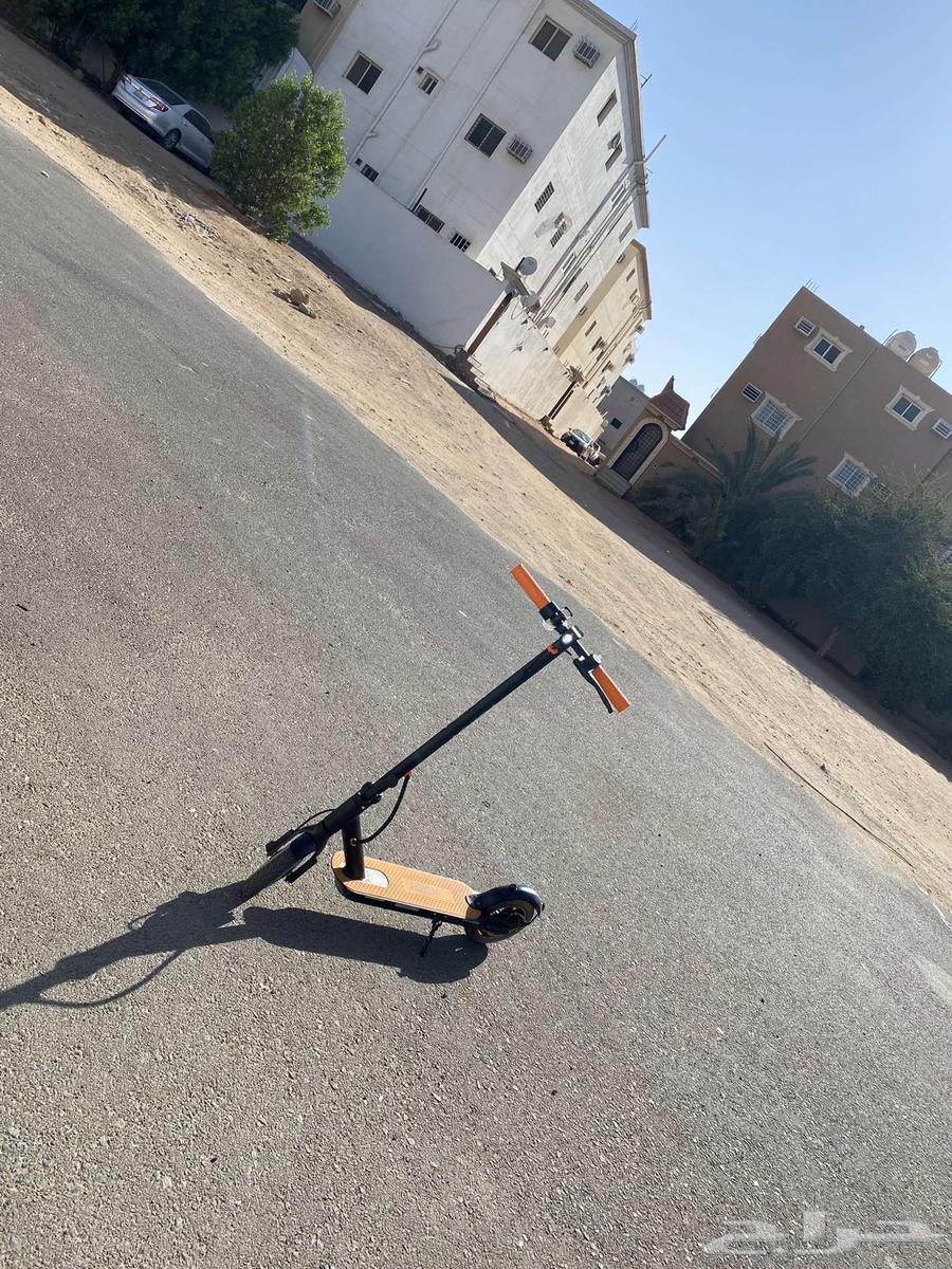 The Pro scooter has no complaints, its speedometer shows 70 and it runs at 40 with a charger64541622935682111