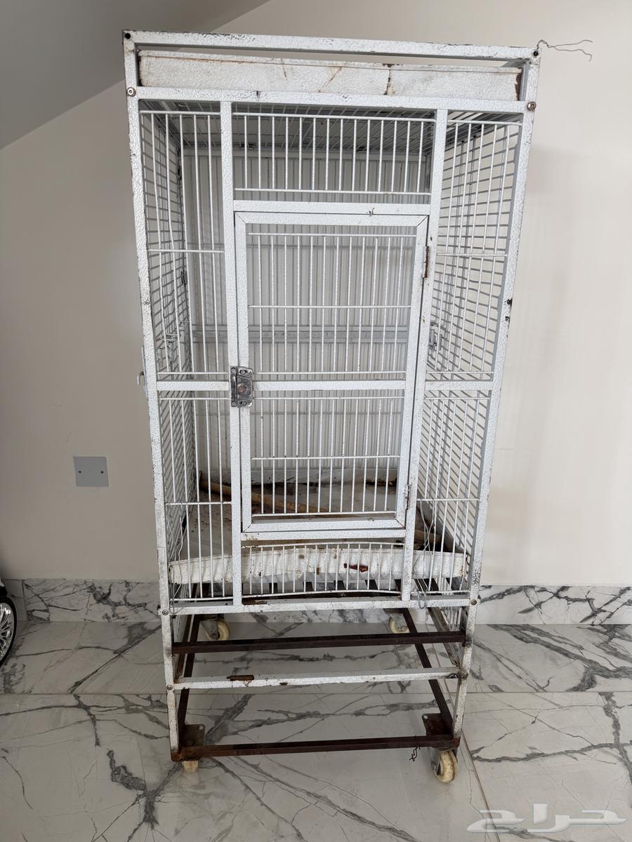 قفص كبير الحاله لابأس بها64539514514818112