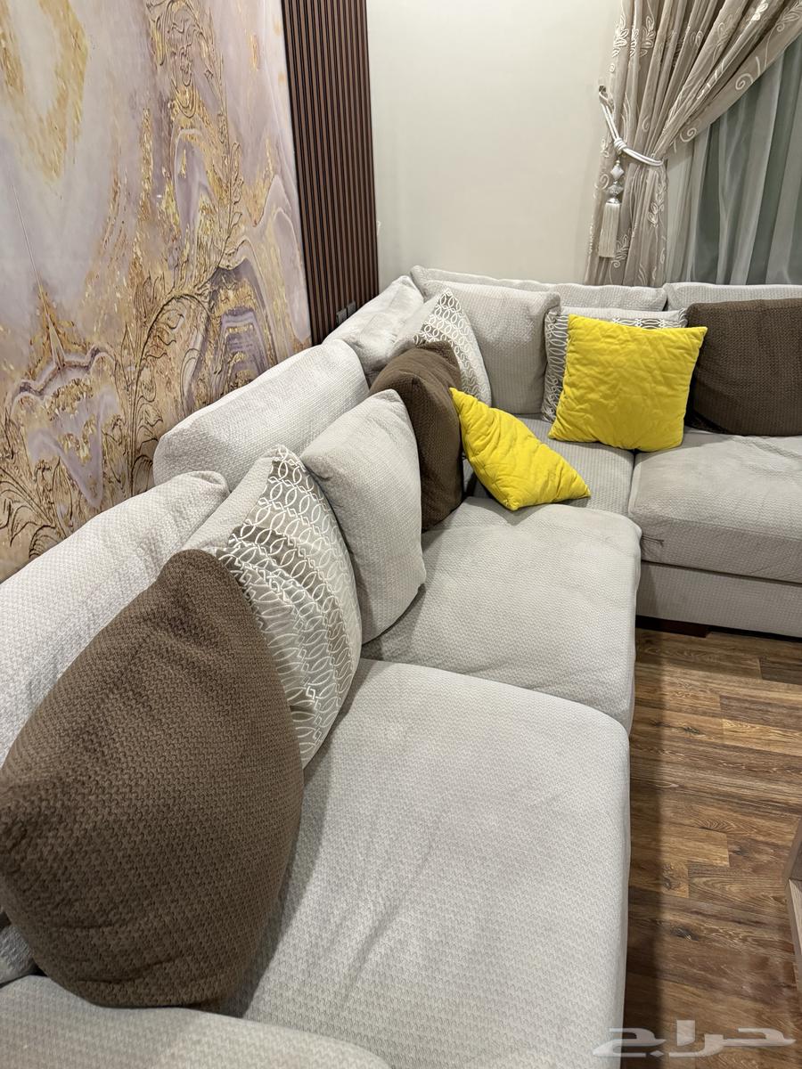 كنب رصاص أمريكي64542303117955112