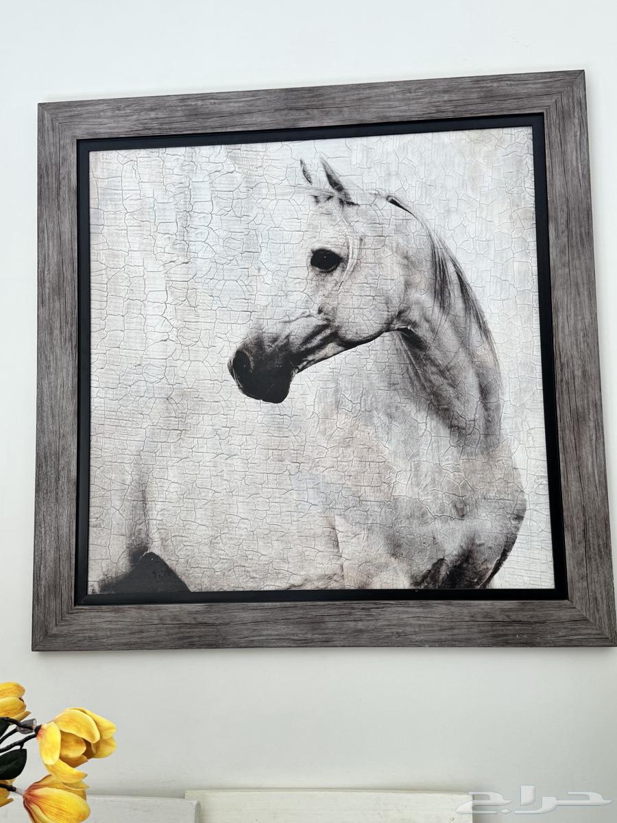 لوحات لوحه ديكور64538541953282110