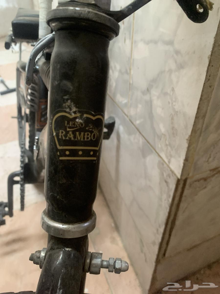 An authentic Andalusian Rambouille bicycle in good condition64540252480387111