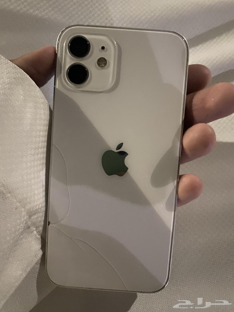 iPhone 12 Regular 12864535069860995111