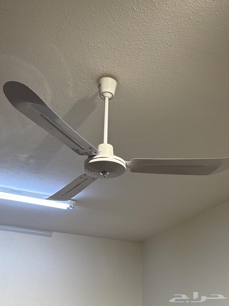 New64535149482883110