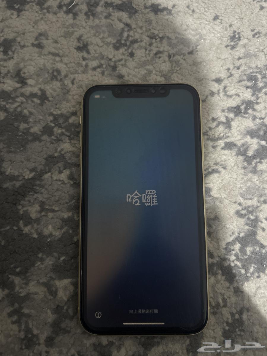 iPhone XR64536851028099111