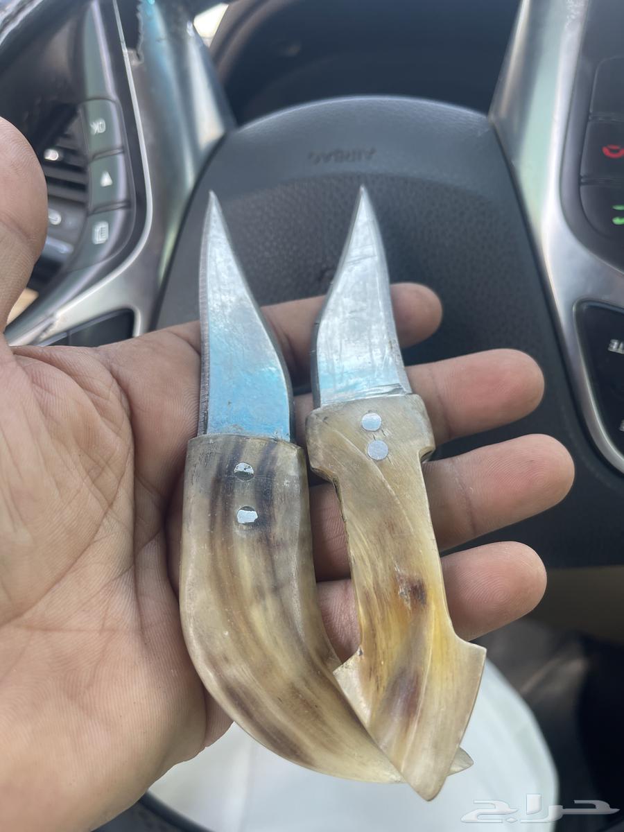 Old Shabari number 464537644904579114