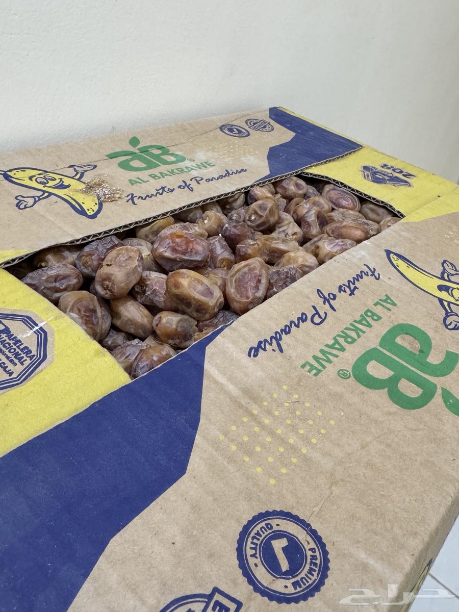 تمر أخلاص نقو كرتون الموز64543535014787112