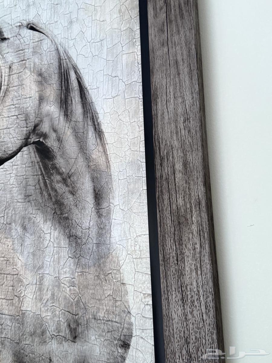 لوحات لوحه ديكور64538541953282113