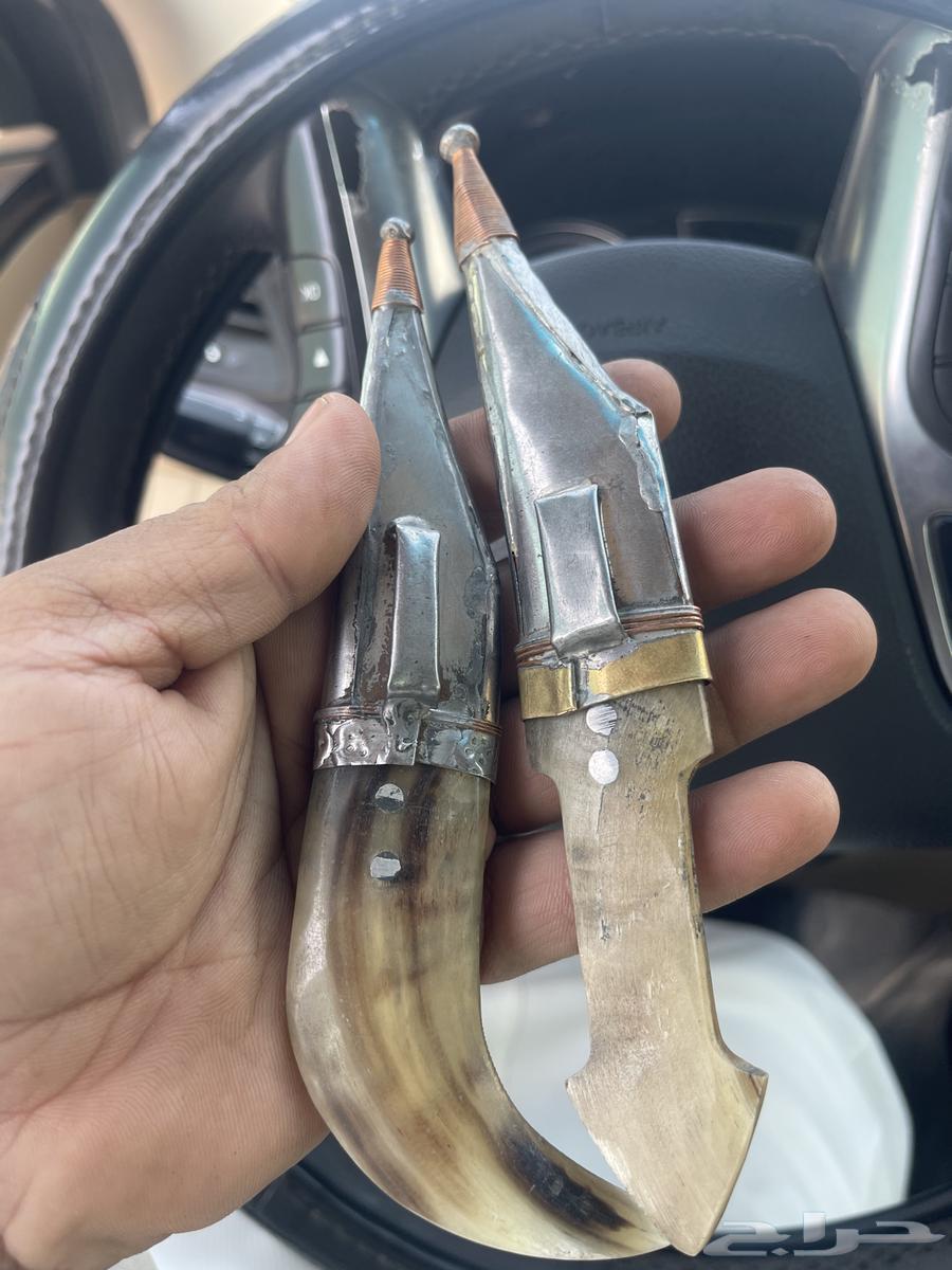 Old Shabari number 464537644904579113