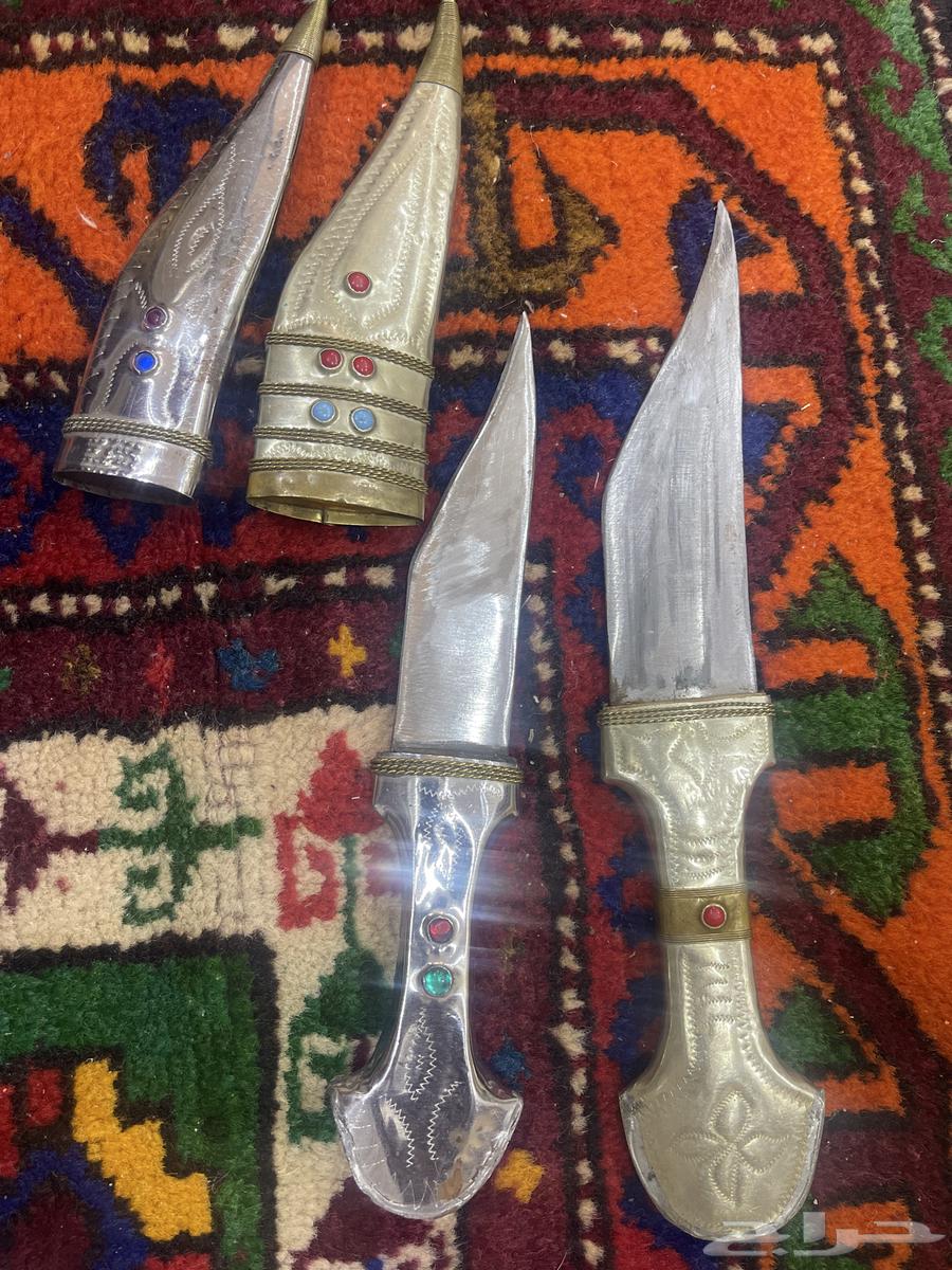 Old Shabari number 464537644904579111