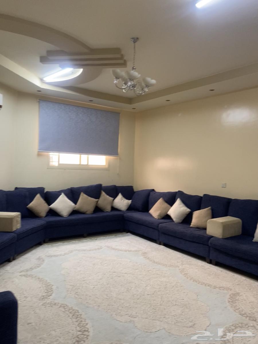 Sofa64540181285763113