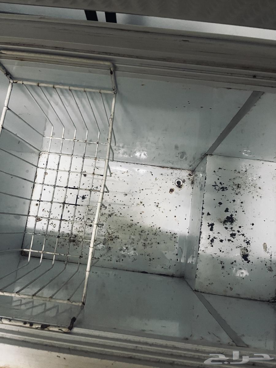 Freezer, refrigerator, and oven all in good condition64541750024577112