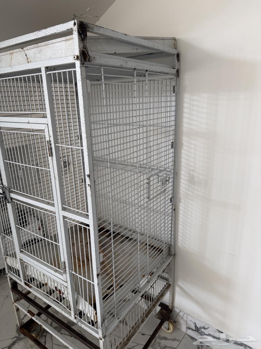 قفص كبير الحاله لابأس بها64539514514818111