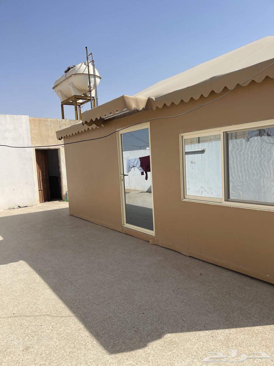 خيمة للبيع64535316999297111