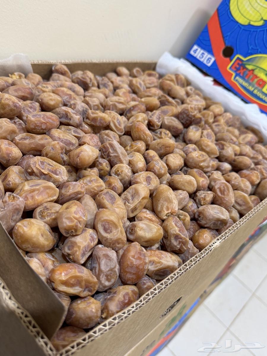 تمر أخلاص نقو كرتون الموز64543535014787111