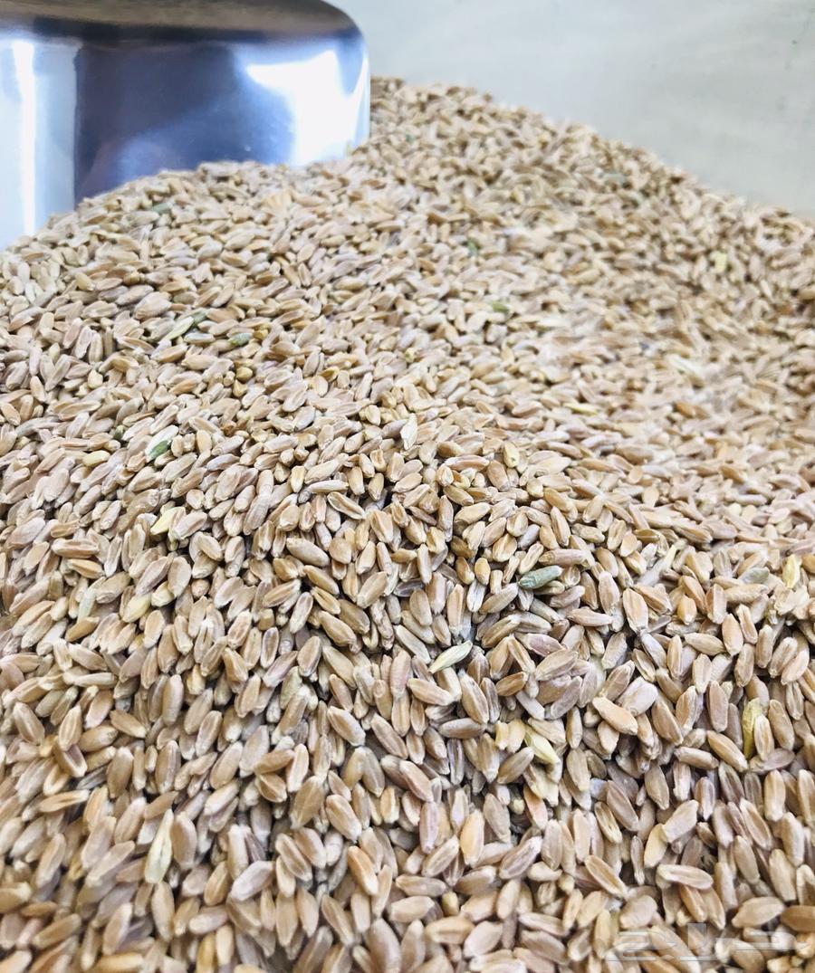 بر تنومه بر النماص بر السوده64542557857794112