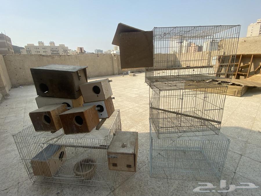 اقفاص للبيع وبياضات64542189779329111